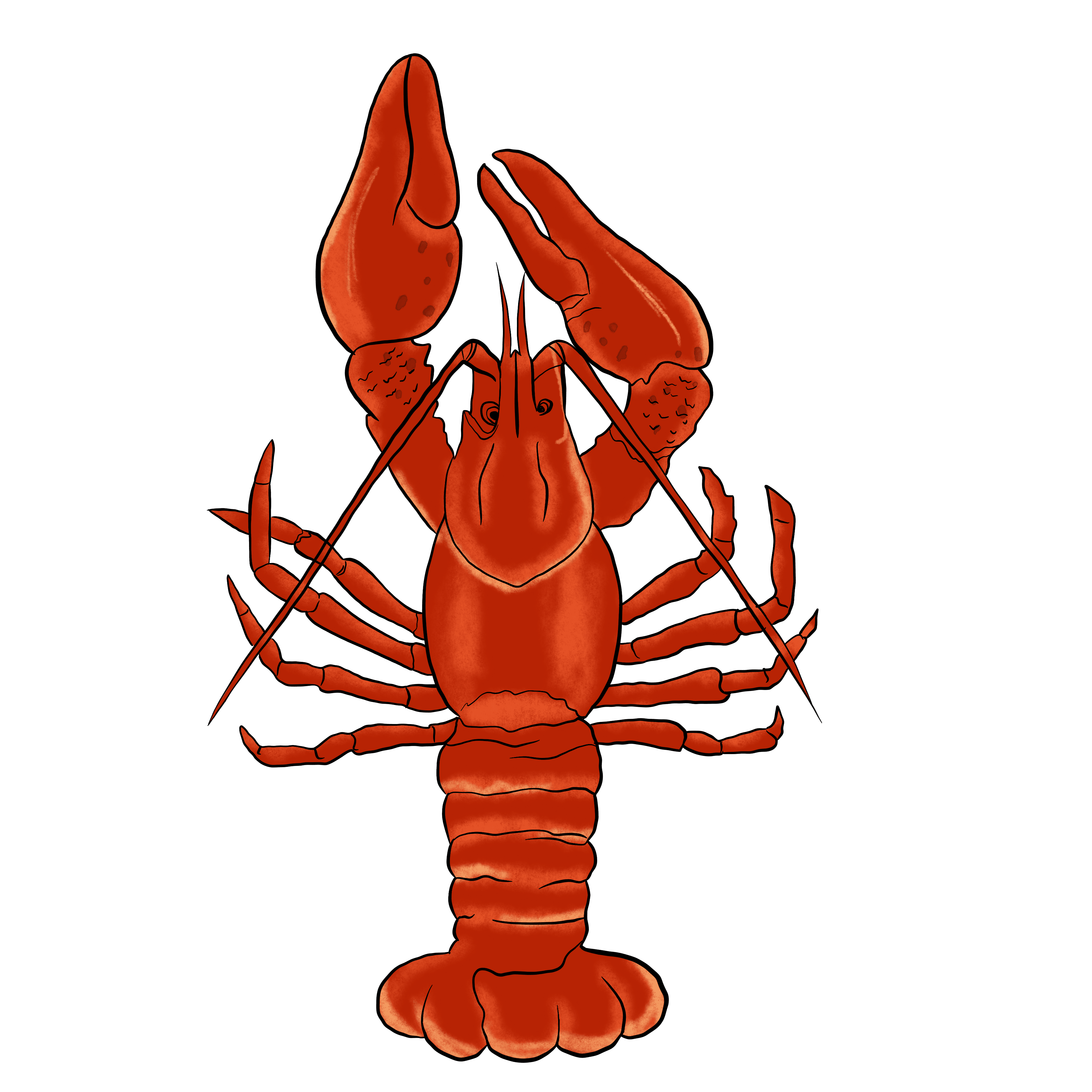 Mardi Gras Crawfish Design - DTF Ready To Press