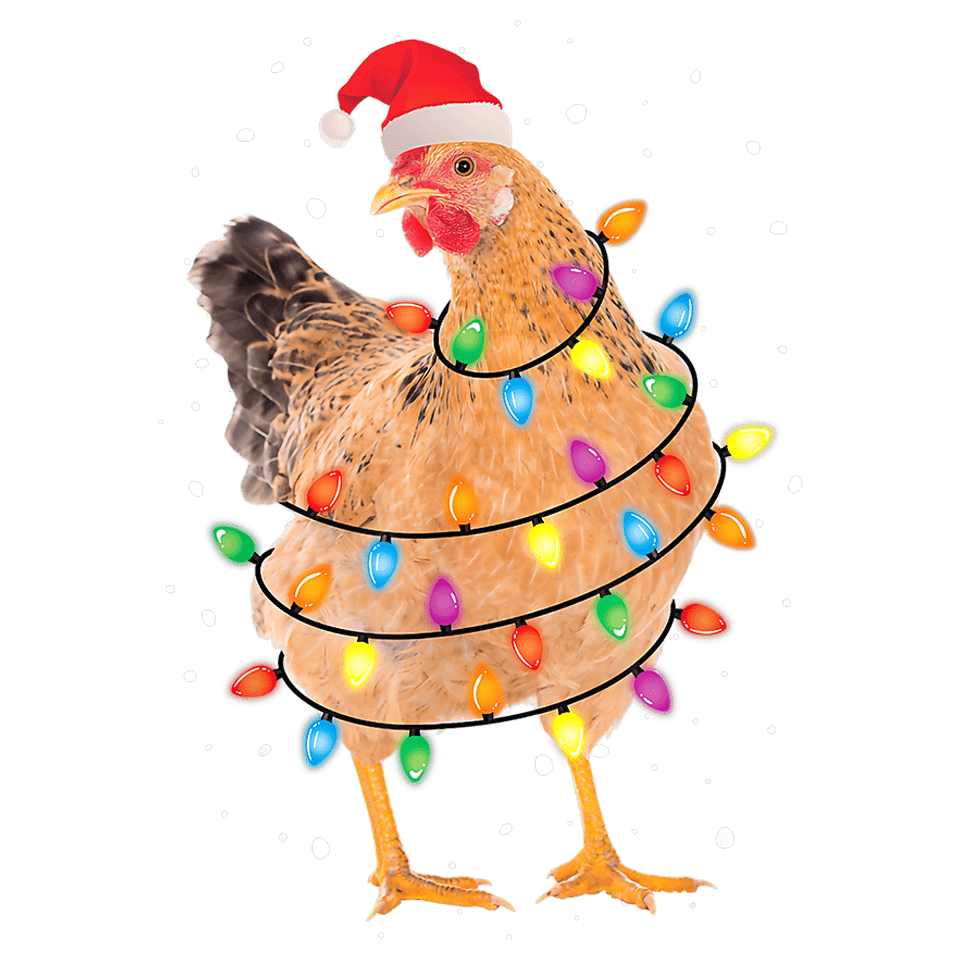 Christmas Chicken Design - DTF Ready To Press