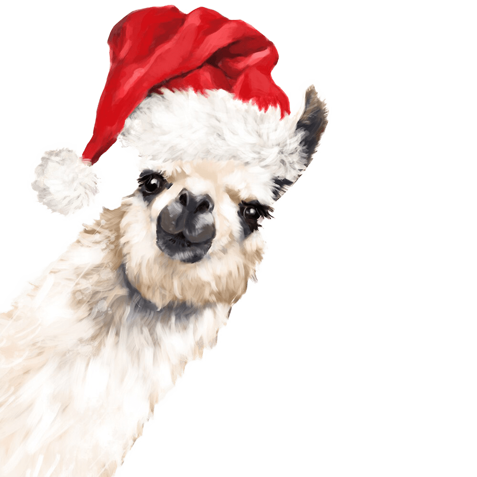 Christmas Llama Design DTF-Ready to Press (V2) | DTF Jersey