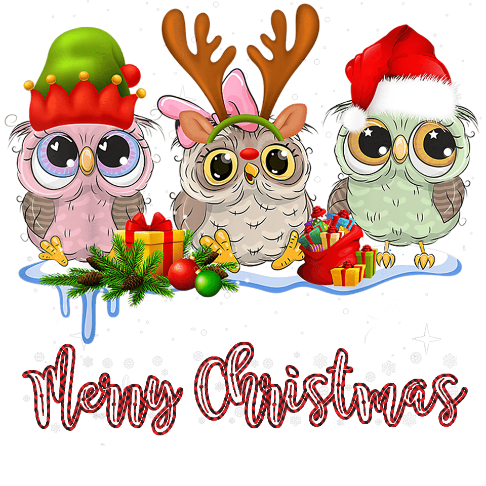 Merry Christmas Owl Design - DTF Ready To Press