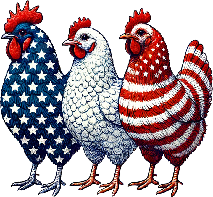 Patriotic Chickens fun farmhouse 4th of July ready-to-press DTF transfer design for country style patriotic shirts